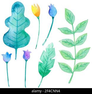 Set von Aquarellblumen und Blättern auf weißem Hintergrund. Handgezeichnete botanische Designelemente. Vektorgrafik Stock Vektor