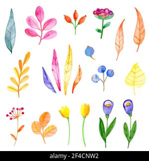 Der Vektor aquarell Blumen und Blätter auf einem weißen Hintergrund. Hand gezeichnet botanischen Herbst design elemente Stock Vektor