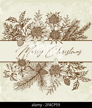 Vintage Weihnachten Grußkarten mit immergrünen Pflanzen und Blumen. Dekorativer Hintergrund für Weihnachten und das neue Jahr. Hand Vector Illustration gezeichnet. Stock Vektor