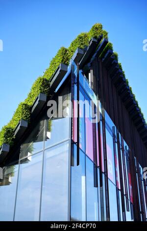 Detail eines Gebäudes, das von Ingenhoven Architects mit Hainbuche Hecken abgedeckt wurde. Kö-Bogen II ist ein einzigartiges Projekt, um die Stadt grüner zu machen. Stockfoto