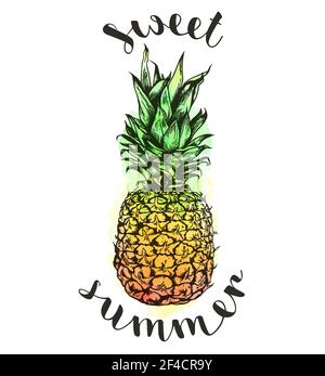 Handgezeichnete tropische Vektor Ananas und Aquarell-Textur auf weißem Hintergrund. Süßer Sommerschriftzug Stock Vektor