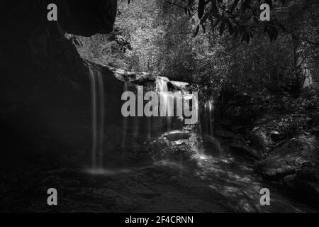 Eine Graustufenaufnahme von kleinen Wasserfällen in einem Wald in West Virginia Stockfoto