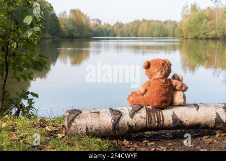 Teddybär und Hase sitzen und kuscheln am Ufer Eines Waldsees Stockfoto