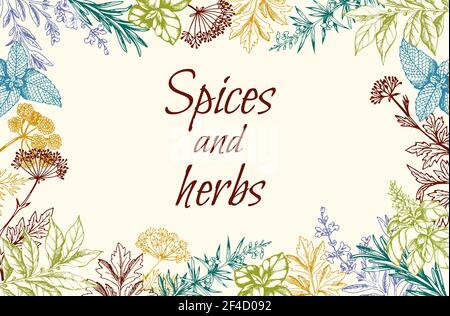Vintage Hand gezeichnet floralen Hintergrund mit Gewürzen und Kräutern. Vektorgrafik Stock Vektor
