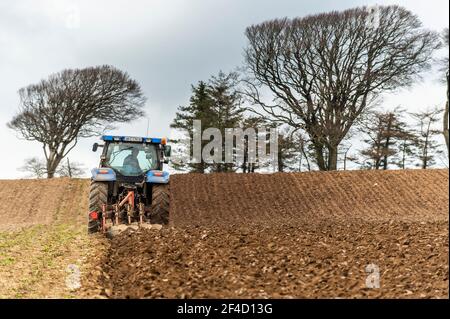 Timoleague, West Cork, Irland. März 2021, 20th. Timoleague Bauer Flynn pflügt ein Feld bereit, Gerste an einem bewölkten, aber feuchten Tag in West Cork säen. Quelle: AG News/Alamy Live News Stockfoto