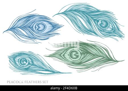 Vektor-Set von Hand gezeichnet Pastell Pfau Federn Stock Vektor