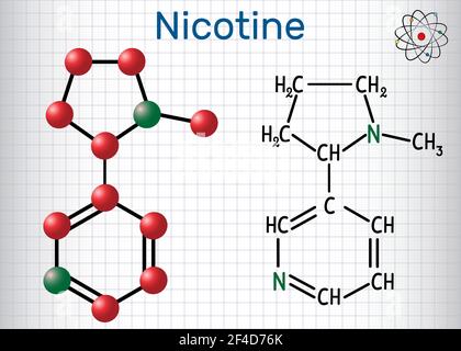 Nikotinmolekül, ist Alkaloid, in der Nachtschattenfamilie der Pflanzen gefunden. Strukturelle chemische Formel und Molekülmodell Stock Vektor