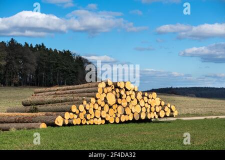 Frisch geschnittene Baumstämme stapelten sich auf der Seite von Die Straße bereit für den Ausbau Stockfoto