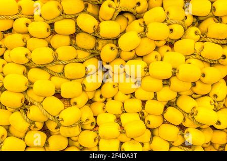 Fischernetze und gelbe Pilze sind aufgereiht und an Seilen verbunden Stockfoto