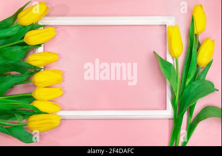 Gelbe Tulpen Seitenansicht mit Rahmen. Leeres Leerzeichen für Text. Frühlings- und Sommerkarte. Hintergrund zum Geburtstag, 8. März, internationaler Muttertag Stockfoto