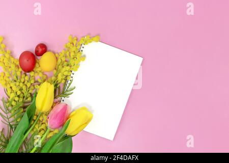 Blumenstrauß, Tulpen und gelbe Mimosen mit leerem Blatt Papier für Text auf rosa Hintergrund mit farbigen Eiern. Osterhintergrund. Speicherplatz kopieren Stockfoto