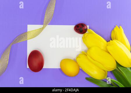 Gelbe Tulpen mit leerem weißen Blatt für Text oder Mockup und bemalten gelben und roten Eiern, Goldband. Osterhintergrund. Speicherplatz kopieren Stockfoto