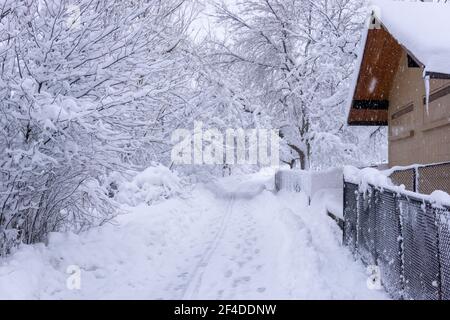 Gehwege in Boulder, Colorado, mit starkem Schnee bedeckt Stockfoto