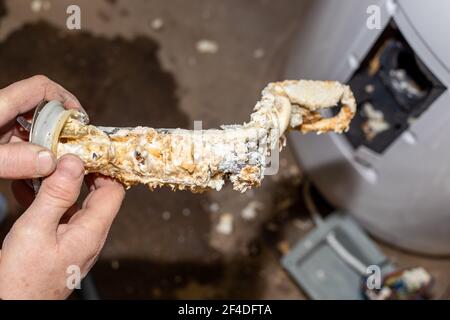 Reparatur und Wartung von Kesseln. Der Meister Klempner nahm es aus dem Kessel und hält in seinen Händen eine röhrenförmige elektrische Heizung mit Kalkablagerungen bedeckt. Stockfoto