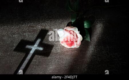 Komposition mit schönen rosa Rose und Schatten des Kreuzes auf rustikalem Hintergrund. Copy space. Stockfoto