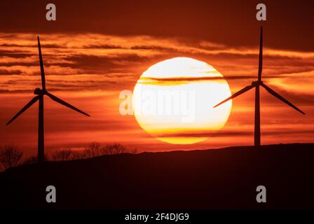 Jackerath, Deutschland. März 2021, 20th. Die Sonne sinkt hinter mehreren Windturbinen am Horizont. Auch in den kommenden Tagen kann es empfindlich kalt bleiben, vor allem nachts. Quelle: Boris Roessler/dpa/Alamy Live News Stockfoto