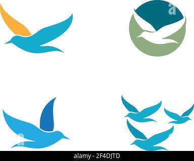 Seagull Logo Vorlage Vektor Symbol Illustration Design Stock Vektor