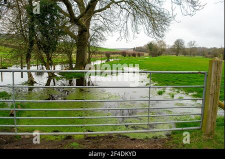 Chalfont St Giles, Großbritannien. März 2021, 18th. Die kurvenreiche Landstraße House Farm Lane in Chalfont St Giles ist seit HS2 nicht mehr erkennbar und für Fußgänger nicht mehr zugänglich. HS2 haben Hektar Ackerland zerstört, Bäume gefällt und Hecken für den Bau einer hoch abfallenden Haul-Straße bis zur HS2 Lüftungsschachtbaustelle entfernt. Einige Bewohner haben jetzt die Haul Straßendamm vor ihren Häusern und die Spur vor ihren Häusern wurde abgeschnitten an einem Ende. Auch der Fluss Misbourne ist jetzt regelmäßig Überschwemmungen nach der HS2 Absetzung in die Gegend. Quelle: Maureen McLean Stockfoto