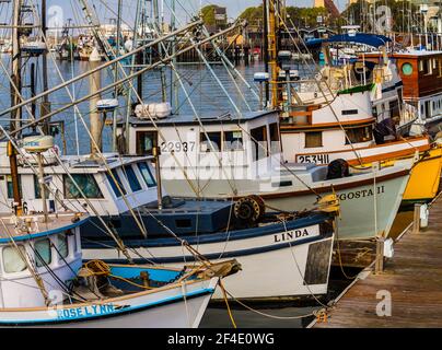 Fischerboote dockten an Morro Bay Marina, Morro Bay, Kalifornien, USA Stockfoto