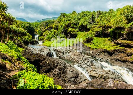 Die Pools von Oheo Gulch, Kipahulu District, Haleakala National Park, Maui, Hawaii, USA Stockfoto