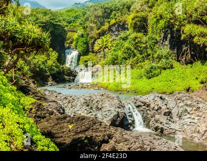 Die Pools von Oheo Gulch, Kipahulu District, Haleakala National Park, Maui, Hawaii, USA Stockfoto