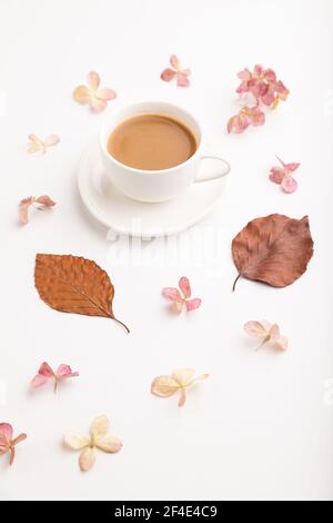 Zusammensetzung mit braunen Buchen Herbstblättern, Hortensien Blumen und Tasse Kaffee. Mockup auf weißem Hintergrund. Leer, Seitenansicht, Stillleben, Nahaufnahme. Stockfoto