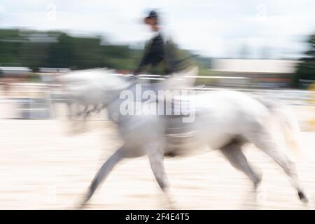 Abstraktes weißes Pferd und Reiter verschwommen in Bewegung, was Geschwindigkeit und Action vermittelt. Stockfoto