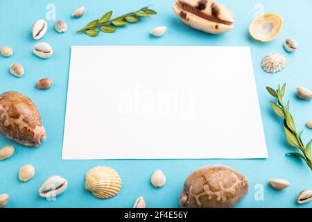 Komposition mit weißem Papier, Muschelschalen, grünem Buchsbaum. Mockup auf blauem pastellfarbenem Hintergrund. Leer, Seitenansicht, Stillleben, Kopierraum. Reisekonce Stockfoto