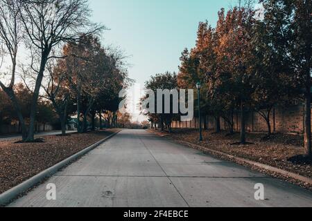 Parkway Road gesäumt von bunten Bäumen am frühen Morgen in Der Fall Stockfoto