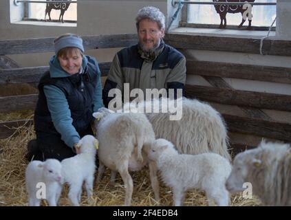 Roskow, Deutschland. März 2021, 15th. Die Bäuerin Katja Behling und ihr Mann Christoph (gelernter Hirte) hocken in der Scheune auf dem Skudden Hof im Roskow-Kreis Weseram neben Lämmern und Mutterschafen der Rasse Skudden. Auf dem Hof züchten das Paar Skudden, die kleinste einheimische Schafrasse, die eine der ältesten Hausschafrassen ist und produziert weiße Mischwolle. Der Skudd steht auf der Roten Liste der vom Aussterben bedrohten Nutztierrassen. (Zu 'Lambing Time: Nachzucht ist wirtschaftlicher Faktor für Schafzüchter') Quelle: Soeren Sache/dpa-Zentralbild/ZB/dpa/Alamy Live News Stockfoto