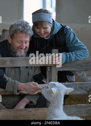 Roskow, Deutschland. März 2021, 15th. Die Bäuerin Katja Behling und ihr Mann Christoph (gelernter Hirte) streicheln in der Scheune auf dem Skudden-Hof im Weseram-Bezirk Roskow ein geschorntes Mutterschafe der Skudden-Rasse. Auf ihrem Hof züchtet das Paar Skudden, die kleinste einheimische Schafrasse, die eine der ältesten Hausschafrassen ist und weiße Mischwolle produziert. Der Skudd steht auf der Roten Liste der vom Aussterben bedrohten Nutztierrassen. (Zu 'Lambing Time: Nachzucht ist wirtschaftlicher Faktor für Schafzüchter') Quelle: Soeren Sache/dpa-Zentralbild/ZB/dpa/Alamy Live News Stockfoto