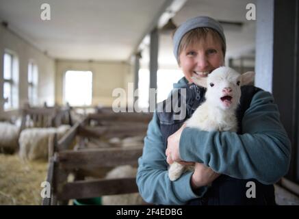 Roskow, Deutschland. März 2021, 15th. Die Bäuerin Katja Behling vom Skuddenhof in Weseram in Roskow hält einen noch namenlosen Widder, geboren am 13.03.2021, in den Armen. Zusammen mit ihrem Mann betreibt die gelernte Einzelhandelskauffrau die Zucht von Skudden, der kleinsten einheimischen Schafrasse, die zu den ältesten Hausschafrassen zählt und weiße Mischwolle produziert, auf dem Hof. Die Skudde steht auf der Roten Liste der vom Aussterben bedrohten Nutztierrassen. (Zu 'Lambing Time: Nachzucht ist ein wirtschaftlicher Faktor für Schafzüchter') Quelle: Soeren Sache/dpa-Zentralbild/ZB/dpa/Alamy Live News Stockfoto