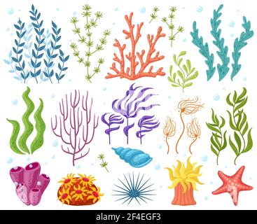 Cartoon Ozeanpflanzen. Anemonen, Korallen und Algen, Seetang, Aquarienpflanzen. Unterwasser Riff Flora Vektor Illustration Symbole gesetzt. Meeresküste oder Meer Stock Vektor