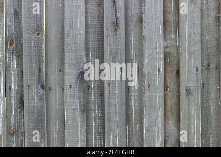 Textur einer Holzwand aus grauen Lamellen. Stockfoto