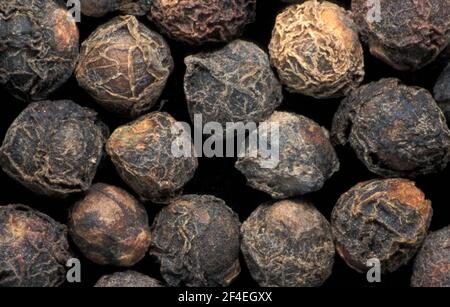 SAMEN VON MALABAR ALLGEMEIN BEKANNT ALS INDIAN, CEYLON ODER WEINSPINAT (BASELLA ALBA, B. RUBRA, B. CORDIFOLIA) Stockfoto