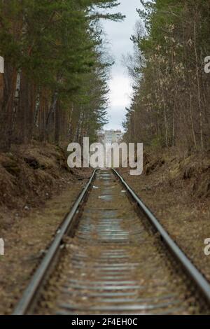 Eisenbahn zwischen Bäumen im Wald. Geringe Schärfentiefe. Stockfoto