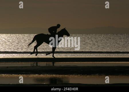 EIN RENNPFERD, DAS BEI SUNRISE ON THE BEACH, MORETON BAY AREA, QUEENSLAND, AUSTRALIEN, TRAINIERT WIRD Stockfoto