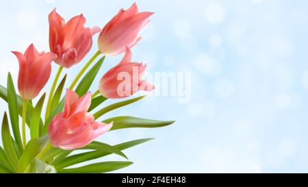 Bouquet von realistischen Tulpen auf einem hellblauen Hintergrund. Zusammensetzung der rosa Tulpen Knospen. Vorlage für Einladungskarte, Banner, Poster Stock Vektor