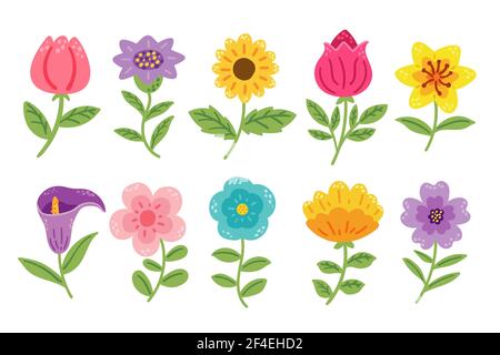 Handgezeichnete Blume Sammlung Vektor-Illustration. Stock Vektor
