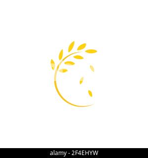 Runder Rahmen mit Ähren aus Weizen oder Gerste oder Roggen. Vektorgrafik isoliert auf Weiß. Herbstfarbe. Stock Vektor