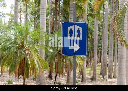 Ein blau-weißes Schild mit Anweisungen zur Toilette in einem tropischen Park mit Palmen. Stockfoto