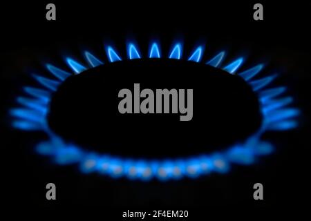 Gasbrenner mit blauem Erdgas auf schwarzem Hintergrund im Küchenofen. Konzentriere dich auf die Flammen im Rücken Stockfoto