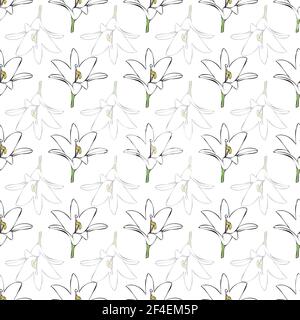 Vektor weißen Hintergrund weißen Blumen nahtlose Muster. Lilien. Nahtloses Muster Hintergrund Stock Vektor