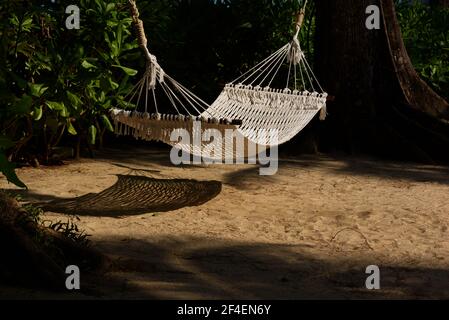 Eine weiße Seilhängematte, die zwischen den Bäumen in der Sonne hängt Tag Stockfoto