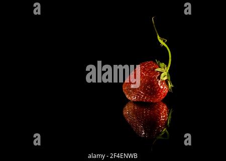 Erdbeere Stockfoto