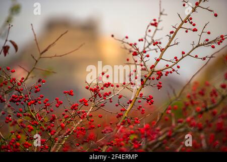 Herbstlandschaft in der Nähe der alten Zitadelle von Deva Stockfoto