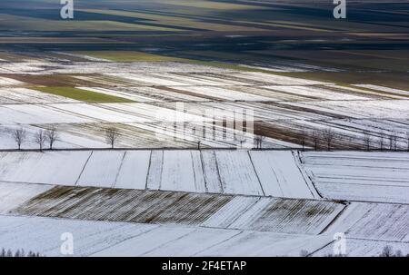 Vogelperspektive auf die Felder und landwirtschaftliche Parzelle. Luftaufnahmen. Frühe Frühjahrszeit. Stockfoto