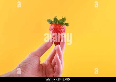 Frau Hand hält Erdbeere auf gelbem Hintergrund mit Platz für Text Stockfoto