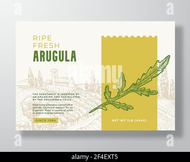 Frische Arugula Food Label Vorlage. Abstraktes Vektor-Verpackungsdesign-Layout. Modernes Typografie-Banner mit handgezeichneter Kräuterzweig und ländlicher Landschaft Stock Vektor