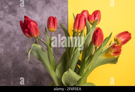 Rote Tulpen auf einem ultimativen grau-gelben Hintergrund. Farbe des Jahres, 2021 Stockfoto